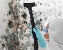 Reliable Waltham, MA Mold Removal & Remediation Solutions